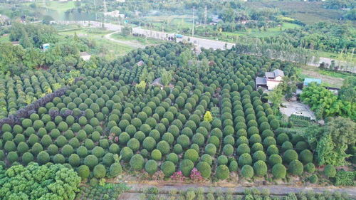 2021中苗會 川浙花木產(chǎn)業(yè)聯(lián)合大會籌備會,相約金華