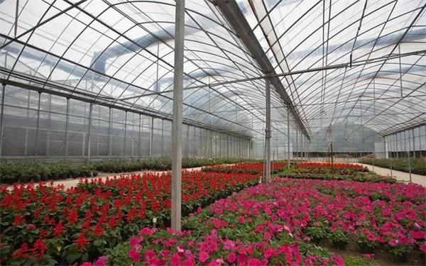 大棚種植花卉首選采暖空氣能熱泵系統