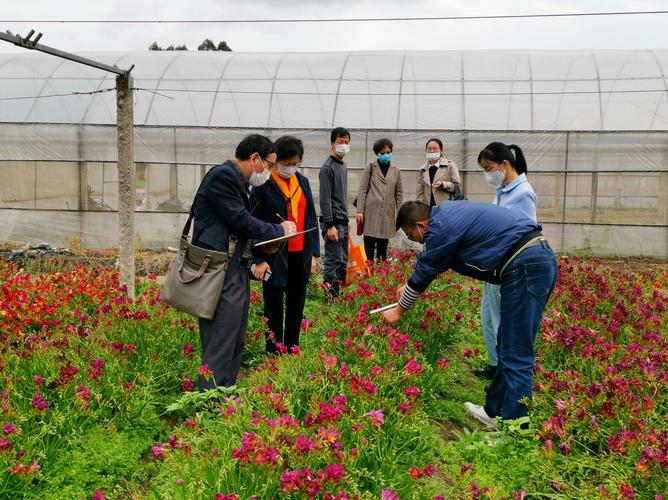 花卉育種趕農(nóng)時(shí)