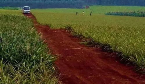 中國15種主要土壤類型和具體分布地區(qū)