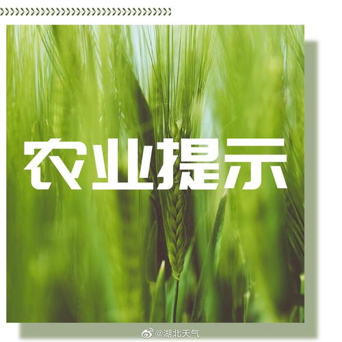 本周農(nóng)事建議