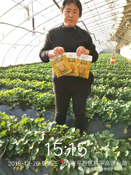 新啟力金套餐 讓種植戶更高效