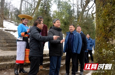 嚴華在隆回縣調研:不誤農時抓好春耕生產 聚焦產業賦能鄉村振興