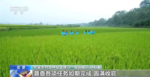 一粒種子如何獲得 身份證 如何成為 國家隊 的一員 記者探訪 種子銀行