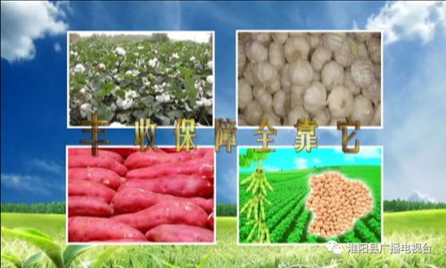 經濟作物怎樣才能長勢旺盛 答案是