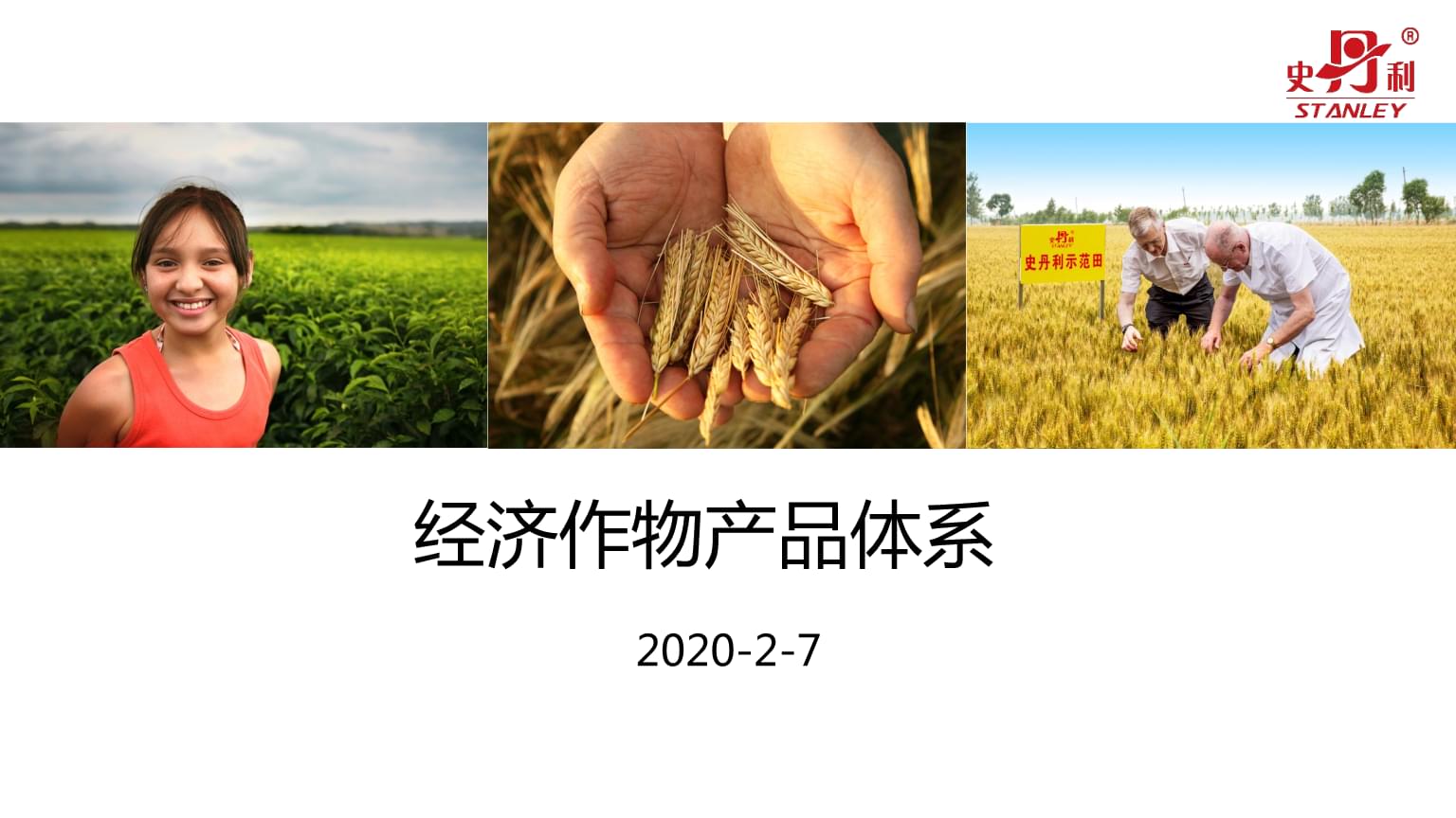 史丹利經濟作物產品體系.pptx