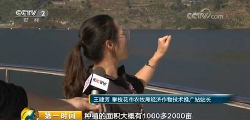 攀枝花上了CCTV2,播了些啥你知道嗎?