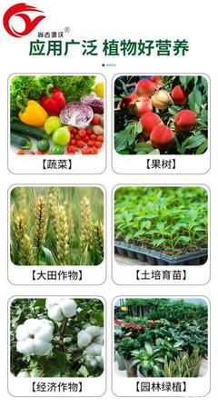 [菌肥微生物菌肥 50有機質 5億菌/克 40kg每袋價格1800噸