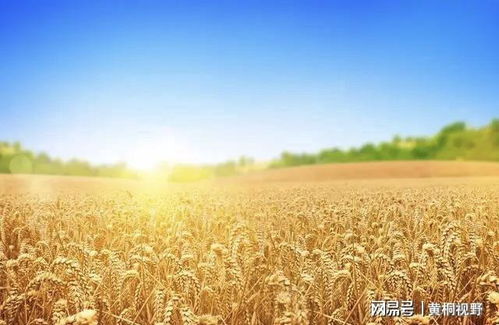想回農村創業做什么好 告訴你現狀,早知道早賺錢