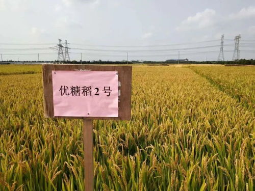 強農利器 上海造