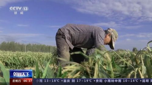 各地特色經濟作物成為助農增收富民產業
