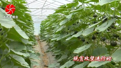 大方縣小屯鄉珠場村&ldquo;大黨建&rdquo;引領脫貧攻堅,鄉村振興開局良好