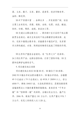 ◆◆C版:某地區紅棗深加工工廠項目可行性研究報告(C6-1)-資源下載