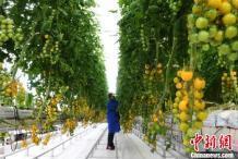友邦重疾值得買嗎?3款熱門產(chǎn)品分析