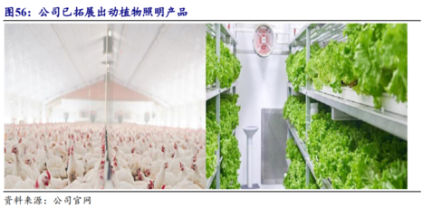 2022年佛山照明研究報(bào)告 通用照明傳統(tǒng)業(yè)務(wù)穩(wěn)健增長(zhǎng),汽車照明迎來國產(chǎn)替代機(jī)遇
