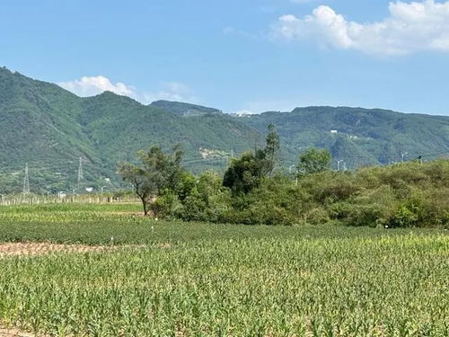建筑垃圾如何變廢為寶 來看全鏈條管理模式