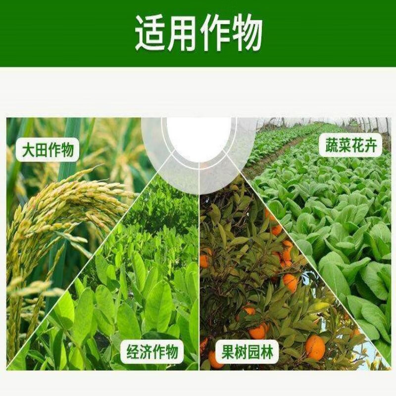 植符 s誘抗素脫落酸 果樹專用蕓苔素提高授粉座果膨大增甜亮果