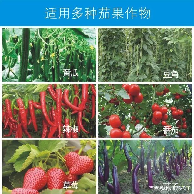 且產品使用范圍廣,適用于大田作物,果蔬等各類經濟作物*.