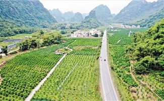南寧文明網