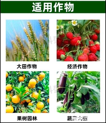 硼肥授粉受精提高座果率保花保果預(yù)防皴皮縮皮小果軟果畸形果縮果