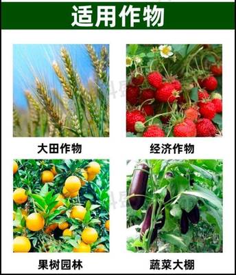 螯合肽流體鋅肥防治葉片失綠節間縮短簇長小葉植株矮小生長點皺縮