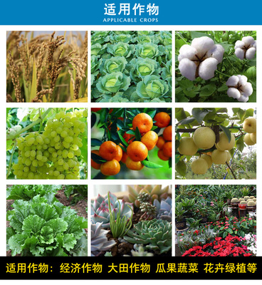 吡唑醚菌酯25%吡唑醚菌脂懸浮劑霜霉白粉病葉斑病果樹(shù)蔬菜殺菌劑