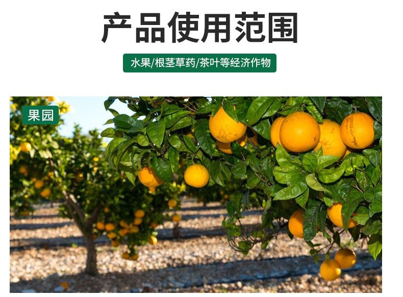 廠家批發經濟作物大田花卉通用顆粒植物發酵微生物菌劑生物肥菌肥
