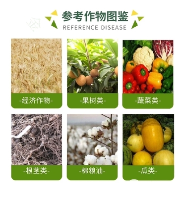 40%腈菌唑葡萄白粉病炭疽病桃樹褐斑病梨樹黑星病農藥殺菌劑