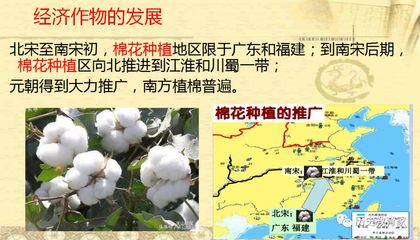 【精品課件】部編版第11課遼宋夏金元的經濟與社會