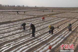 中國擬從國家層面建立土壤污染防治基金制度 圖