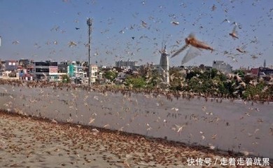 和談進入尾聲,印度上將卻突然放出危險信號:不排除軍事手段