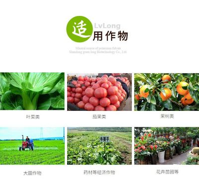 全水溶黃腐植酸鉀/礦源黃腐酸鉀_有機質60%以上_調節營養促進作物生長