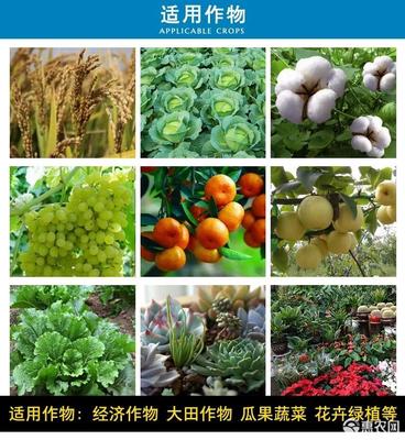 48%聯(lián)肼螺螨酯聯(lián)苯肼酯柑橘草莓紅蜘蛛蔬菜農(nóng)藥高效殺蟲殺螨劑