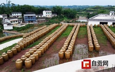 市委書記高度關注后,自貢這里發生了翻天覆地的變化