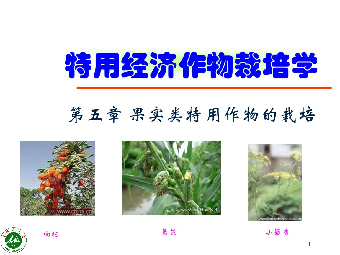 特用經濟作物栽培學5.ppt