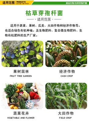 枯草芽孢桿菌以菌治菌防治真菌細菌解磷解鉀改良土壤增產提質