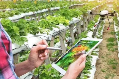 為什么以色列農民將農產品賣向全世界,中國卻