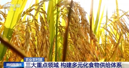 構建多元化食物供給體系"路線圖"發布 3方面重點14項任務讓群眾吃得飽、吃得好