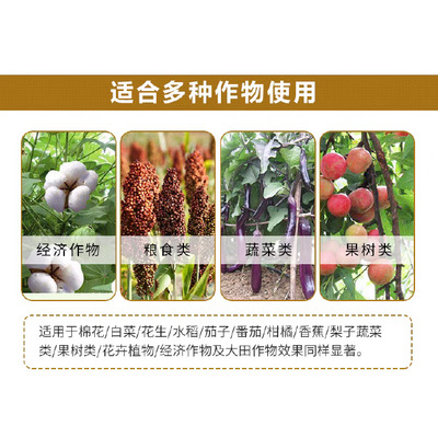硼 提高授粉受精,促進(jìn)花芽分化,保花保果 提高座果率防裂果