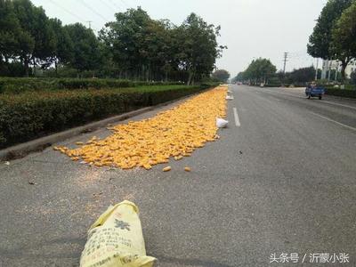 秋天到了臨沂經(jīng)濟(jì)技術(shù)開發(fā)區(qū)處處洋溢著收獲的喜悅