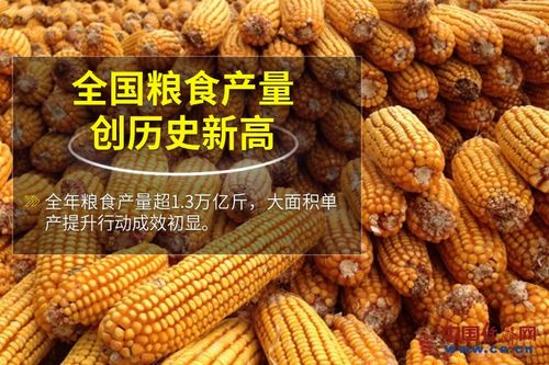 中國飯碗 端得牢 裝得滿 吃得香