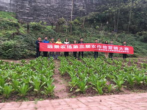 學以致用 營 在農場 遠景農場順利舉辦第三屆農作物營銷大賽