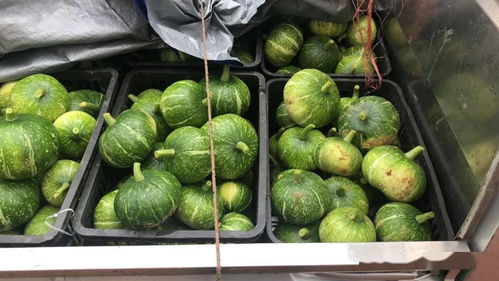 高效經濟作物架起脫貧致富路