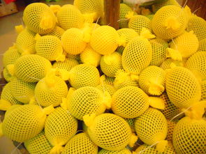 海南農墾萬嘉果熱帶植物園