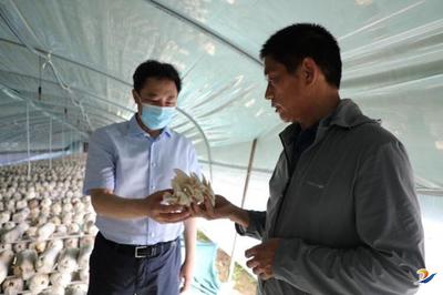 張建慧:因地制宜發展特色產業 持續帶動群眾增收致富