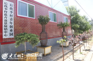 惠民苗木特色村探索苗木業(yè)發(fā)展新途徑 小小盆景種出致富路