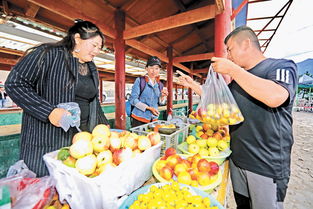 西藏林業(yè)經(jīng)濟(jì)蓬勃發(fā)展，農(nóng)業(yè)與多種經(jīng)營(yíng)協(xié)同增效