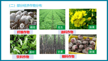 農業分布 農作物與經濟作物的地理格局