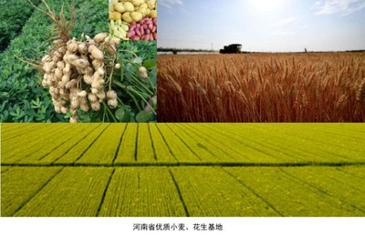 不在河南也能盡一份力 普通人可以參與的暴雨救助方式總覽