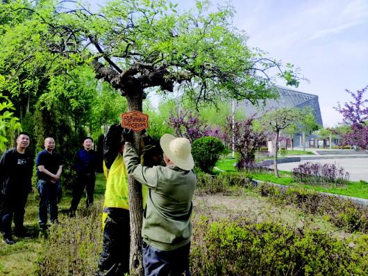 白銀市礦山公園 綠樹成蔭花木繁，掛牌科普促生態